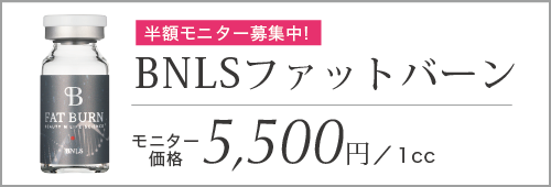 BNLS ファットバーン モニター1cc 5,500円